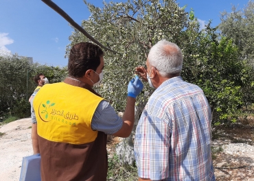 Periodic visits to olive farmers as part of the technical support provided by the Silk Road Organization team in the project to support olive farmers in Harem