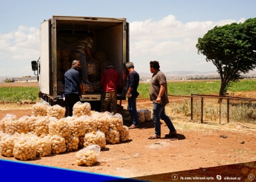 Completing the collection of the potato crop from farmers’ lands and distributing it to the beneficiary families as part of the #Silk_Road_Organization project in #Support_Potato_Farmers_Provide_fresh_vegetables in Idlib and Aleppo countryside.