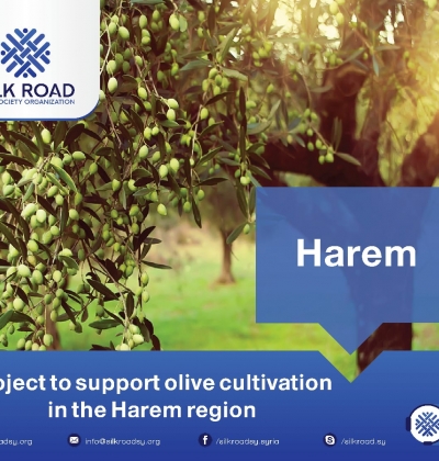 Enhance the resilience of conflict affected people in Harim communities by providing them with Olive agricultural inputs and technical support.